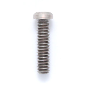 Bully Plate Bolt - 1