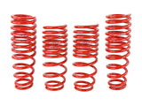 Lowering Springs - 92-95 Honda Civic