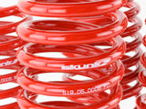 Lowering Springs - 92-95 Honda Civic