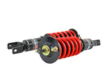 Pro-ST Coilover - Honda S2000