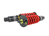 Pro-ST Coilover - 92-95 Honda Civic / 94-01 Acura Integra