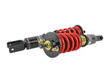 Pro-ST Coilover - 96-00 Honda Civic